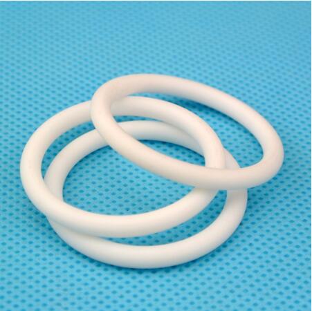 PTFE O-Ring