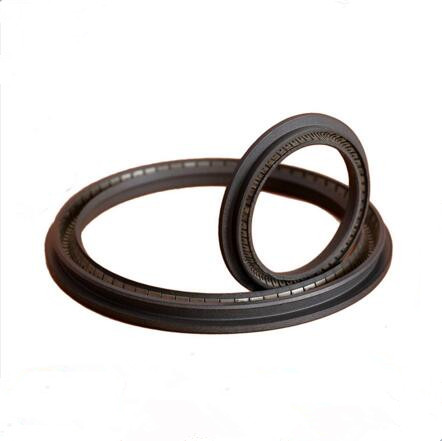 PTFE Spring Energized Seals